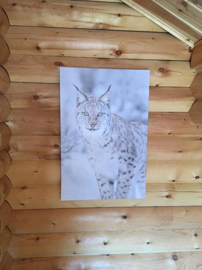 Villa Le Syote à Xonrupt-Longemer Extérieur photo